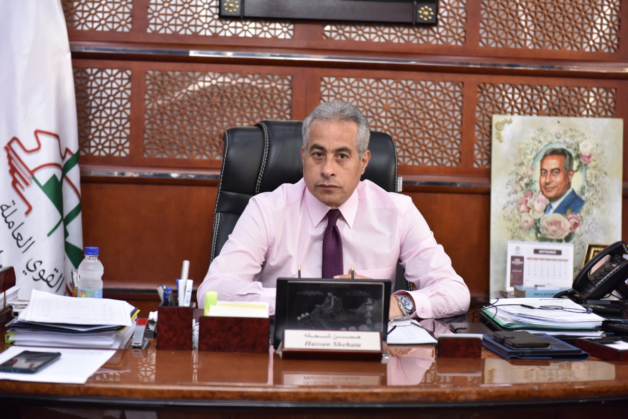 وزير القوى العامله 